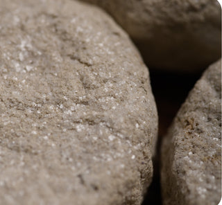 Cleansing Charcoal Tablets