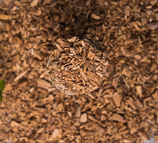 Palo Santo Incense Gift Box