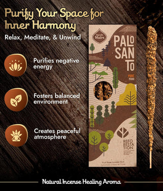 What Is Palo Santo? Benefits, Uses & How to Burn It