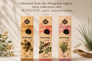 Paquete variado de varillas de incienso | Palo Santo | Incienso | sabio | Lavanda | Hecho a mano | Limón | Naranja | Vainilla