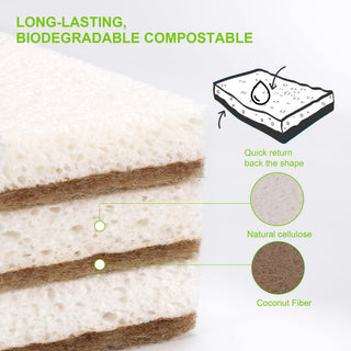 Natural Sponges for Dishes 12 Pack