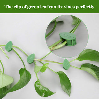 60 Pieces Plant Climbing Wall Fixture Clips