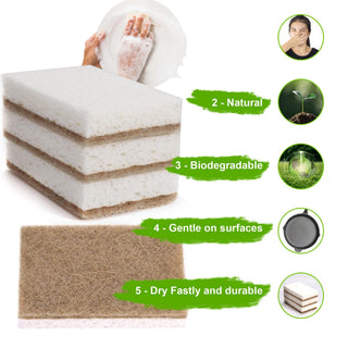 Natural Sponges for Dishes 12 Pack