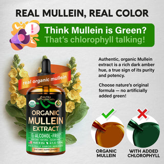 Mullein Drops for Lungs - USDA Organic Liquid 4fl oz