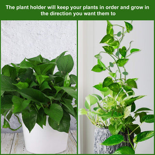 60 Pieces Plant Climbing Wall Fixture Clips