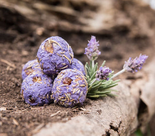 Bombas de carbón de salvia blanca | Palo Santo | canela | sabio | Rosas | Incienso | Lavanda | Naranja