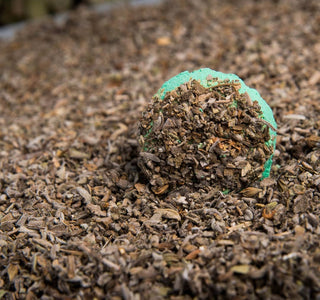 Encens au charbon de bois d'encens | Anis | Cannelle | Sauge | Palo Santo | Lavande | Résine | Herbes