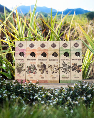 Patagonia Incense Sticks | Neroli | Rosehip | Hibiscus | Yerba Mate | Mint | Rue | Wild Lavender