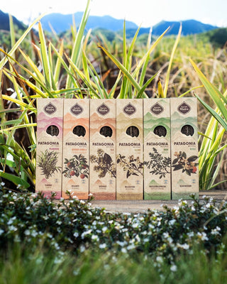 🎁 Patagonia Incense Collection (100% off)