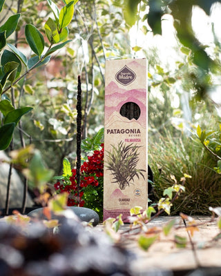 Patagonia Incense Sticks | Neroli | Rosehip | Hibiscus | Yerba Mate | Mint | Rue | Wild Lavender