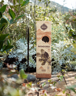 Patagonia Incense Sticks | Neroli | Rosehip | Hibiscus | Yerba Mate | Mint | Rue | Wild Lavender