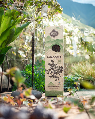 Patagonia Incense Sticks | Neroli | Rosehip | Hibiscus | Yerba Mate | Mint | Rue | Wild Lavender